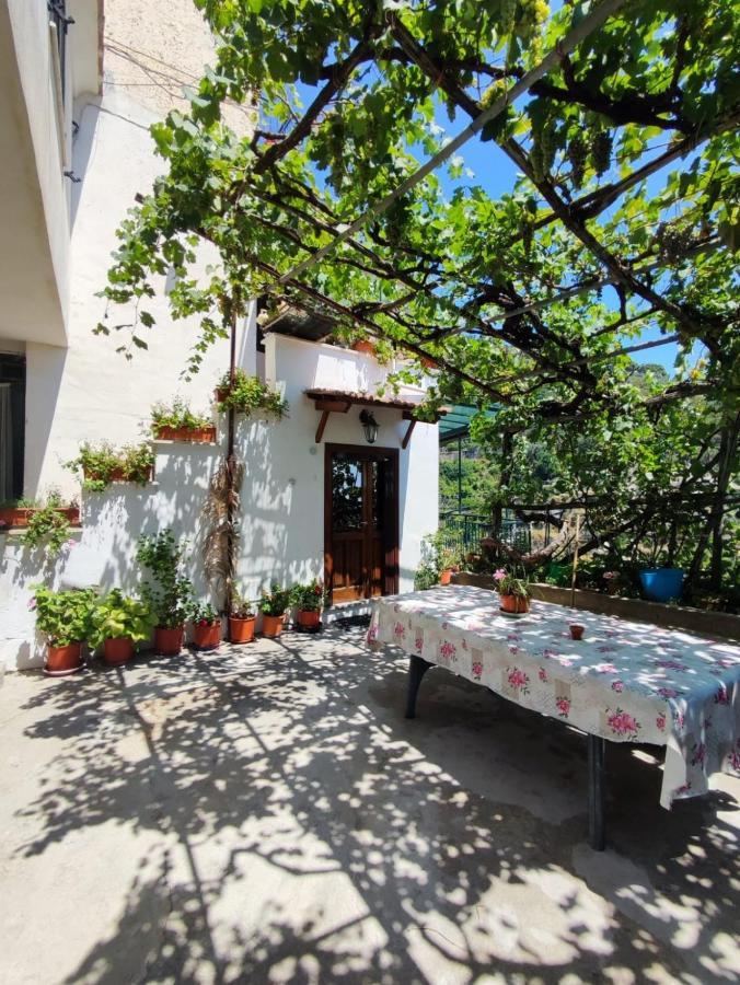Eden Tra I Limoni Apartment Minori Ngoại thất bức ảnh